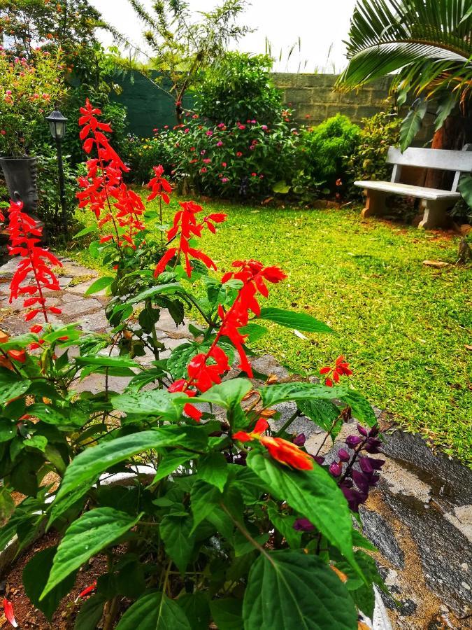 Barefoot Inn Kandy Eksteriør billede
